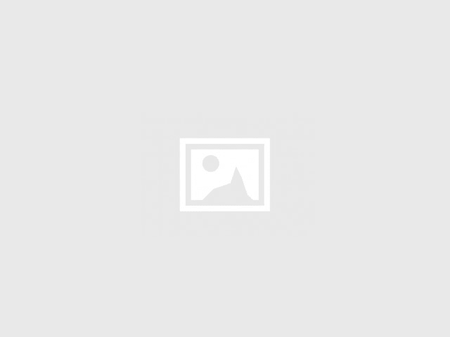 Meraviglioso cucciolo British Longhair Rosso | Non disponibile