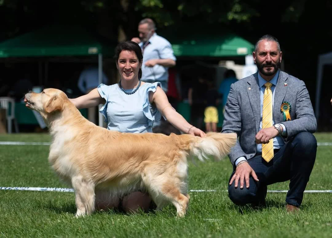 Cucciolata GOLDEN RETRIEVER altissima genealogia da Medico Veterinario | Foto 3