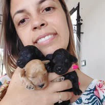 cucciola barboncino toy | Foto 1