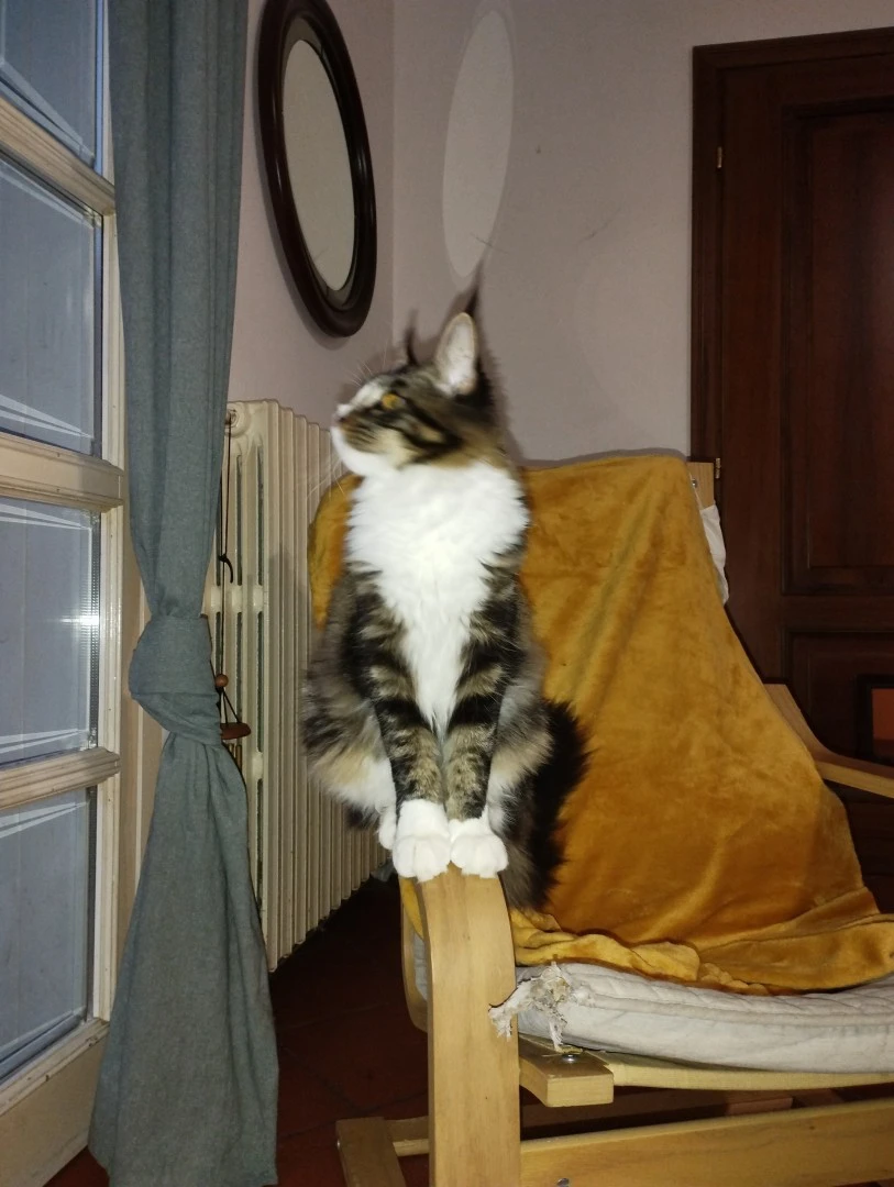 Hoben Della Torre Preziosa sta | Foto 4