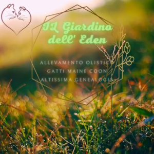 L' unico allevamento quantisti | Foto 1