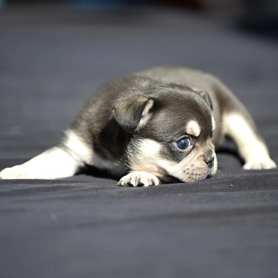 Sono disponibili gli ultimi 3  | Foto 4