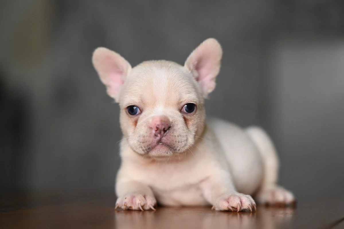 Sono disponibili gli ultimi 3  | Foto 2